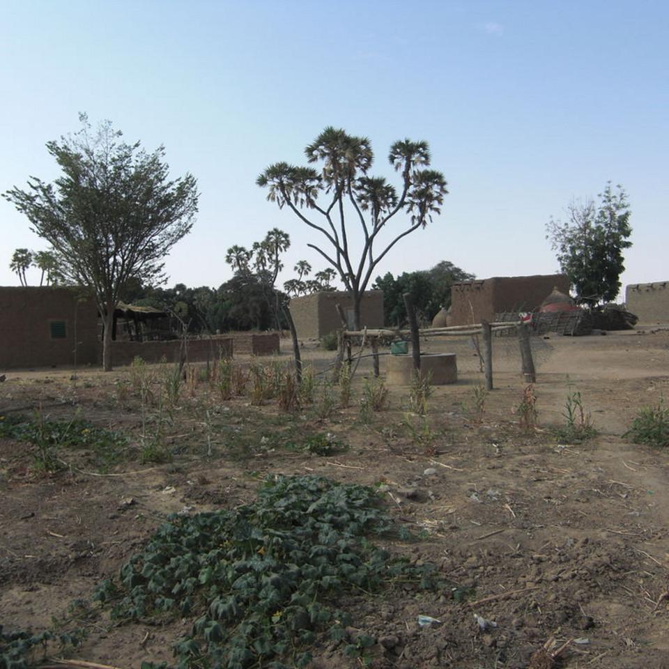 193.JPG