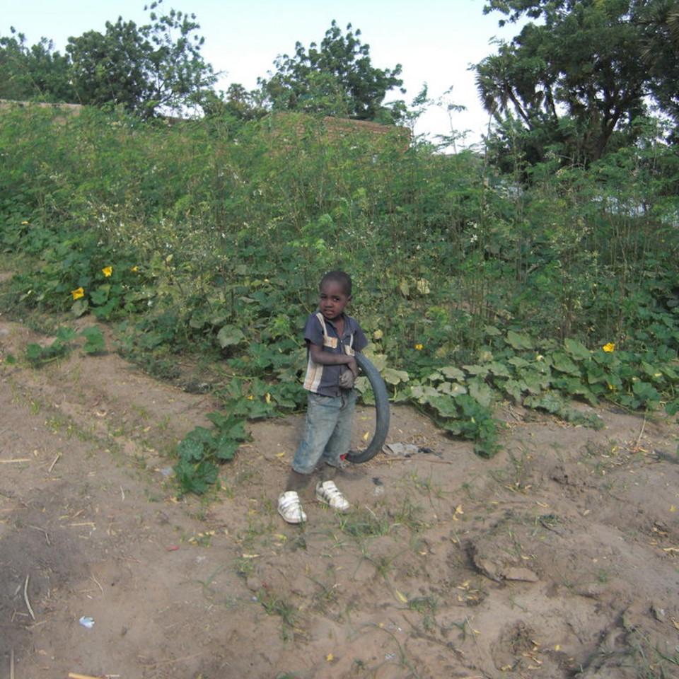 194.JPG