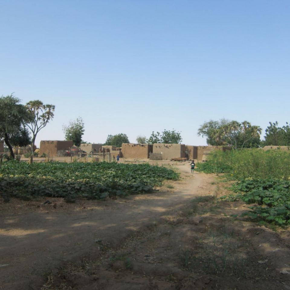 196.JPG