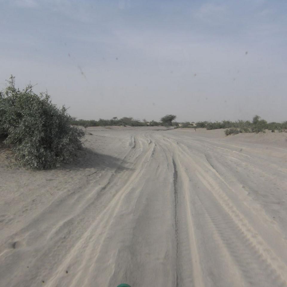103.JPG