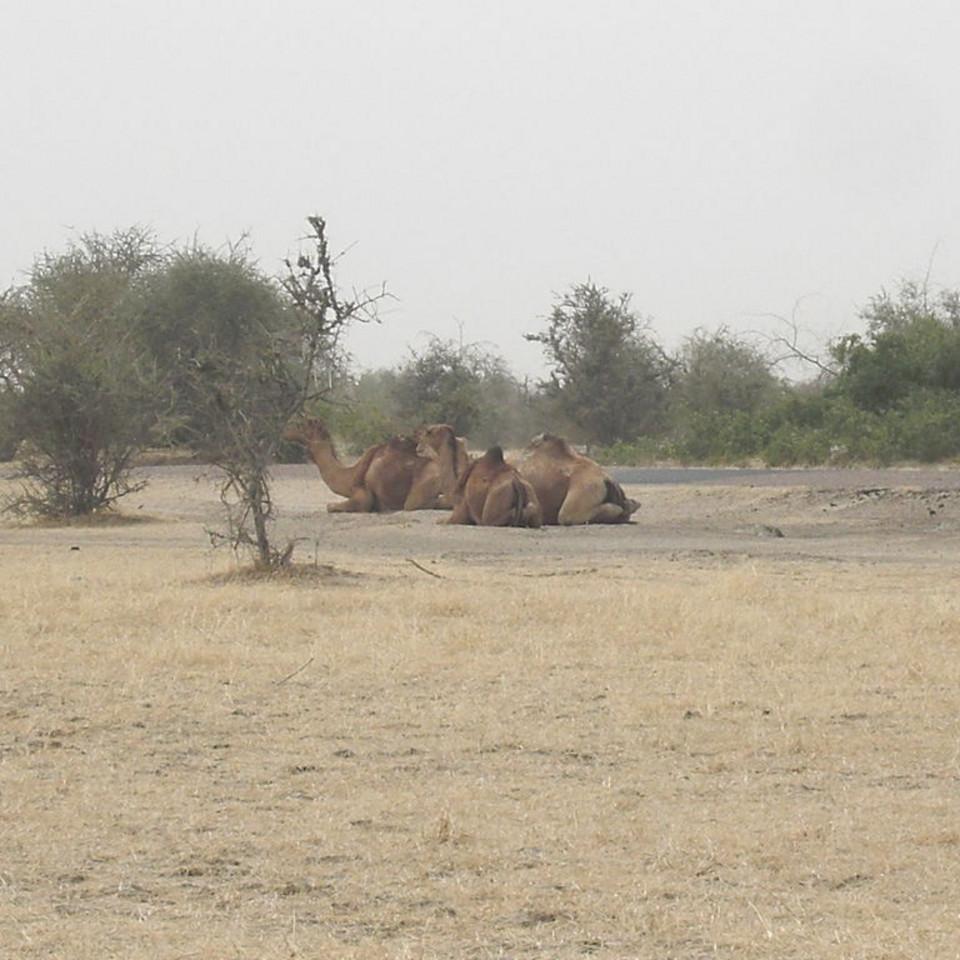 105.JPG