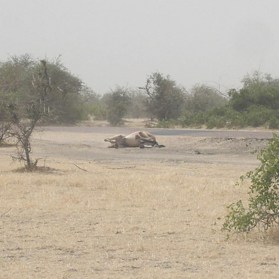 106.JPG
