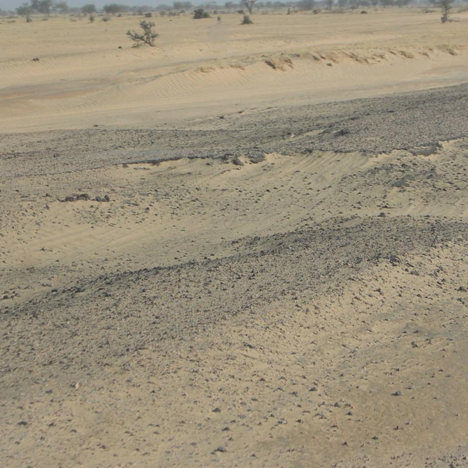 116.JPG
