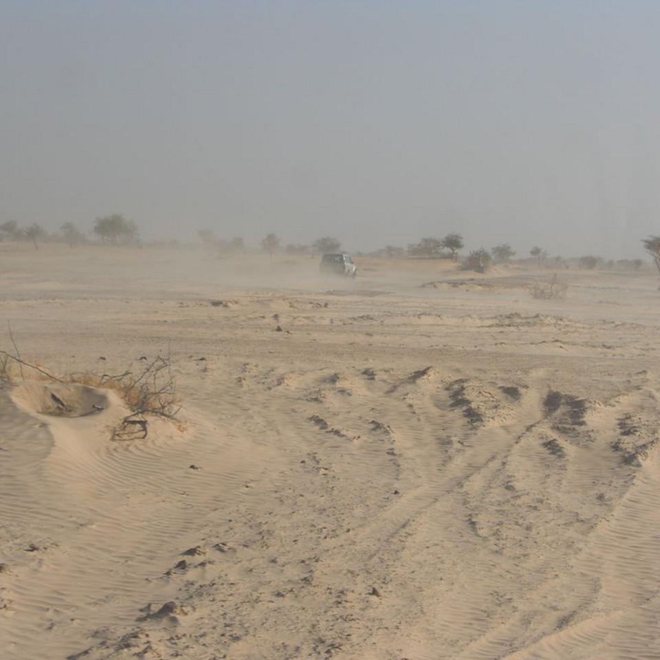 117.JPG