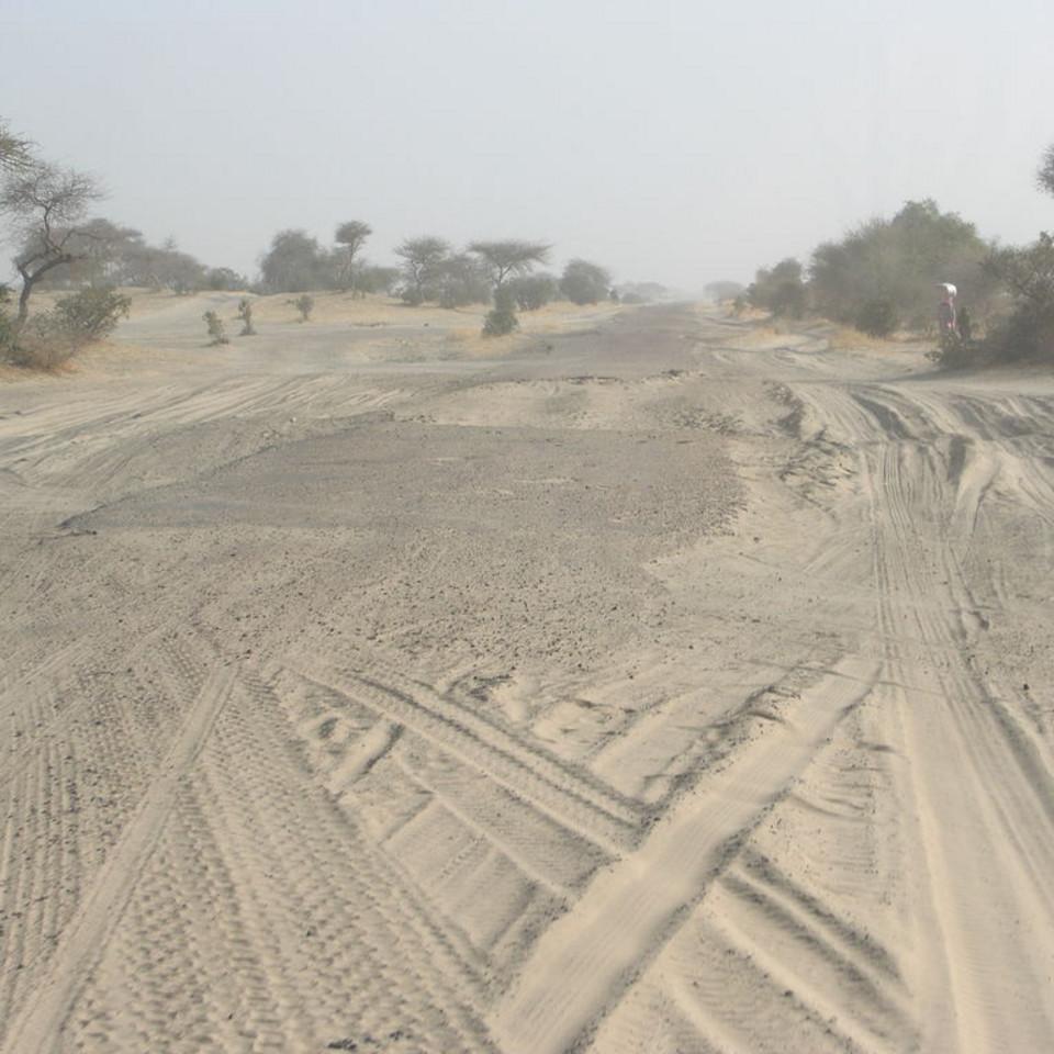 119.JPG