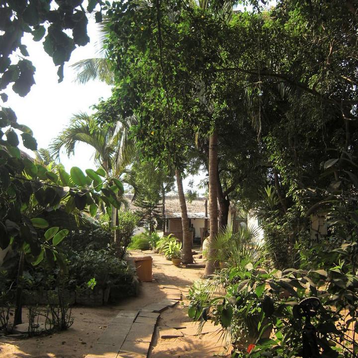 112.JPG