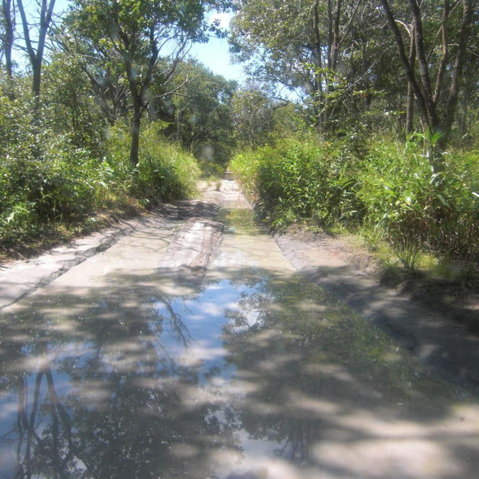112.JPG