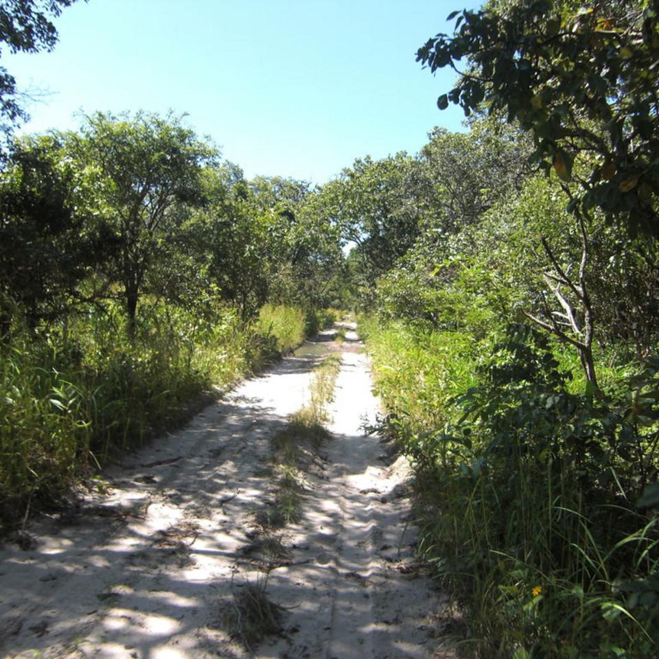 119.JPG