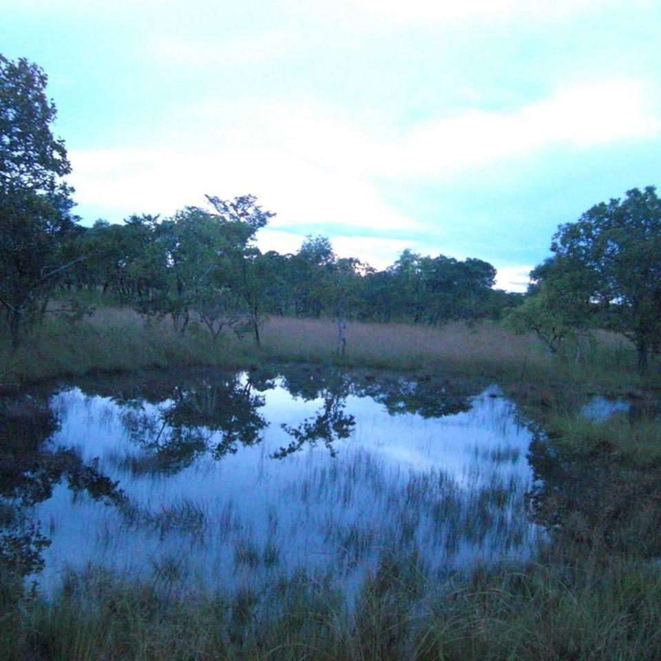 131.JPG