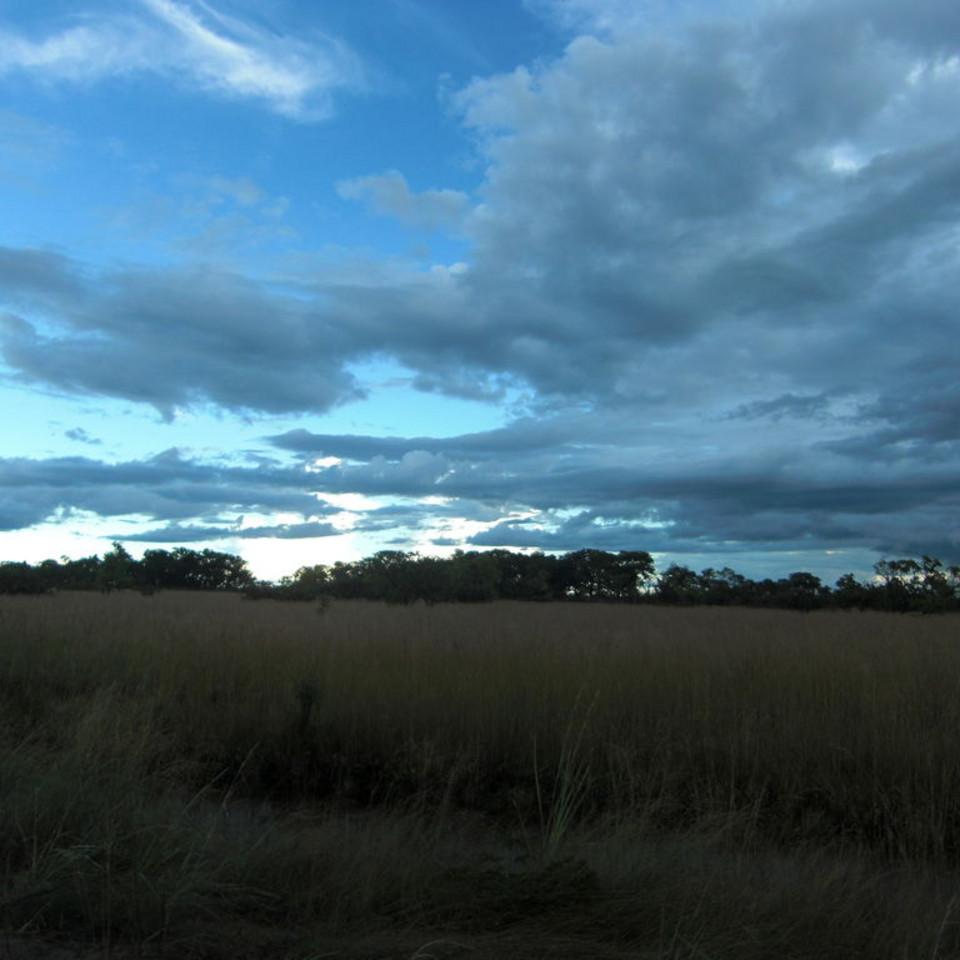 139.JPG