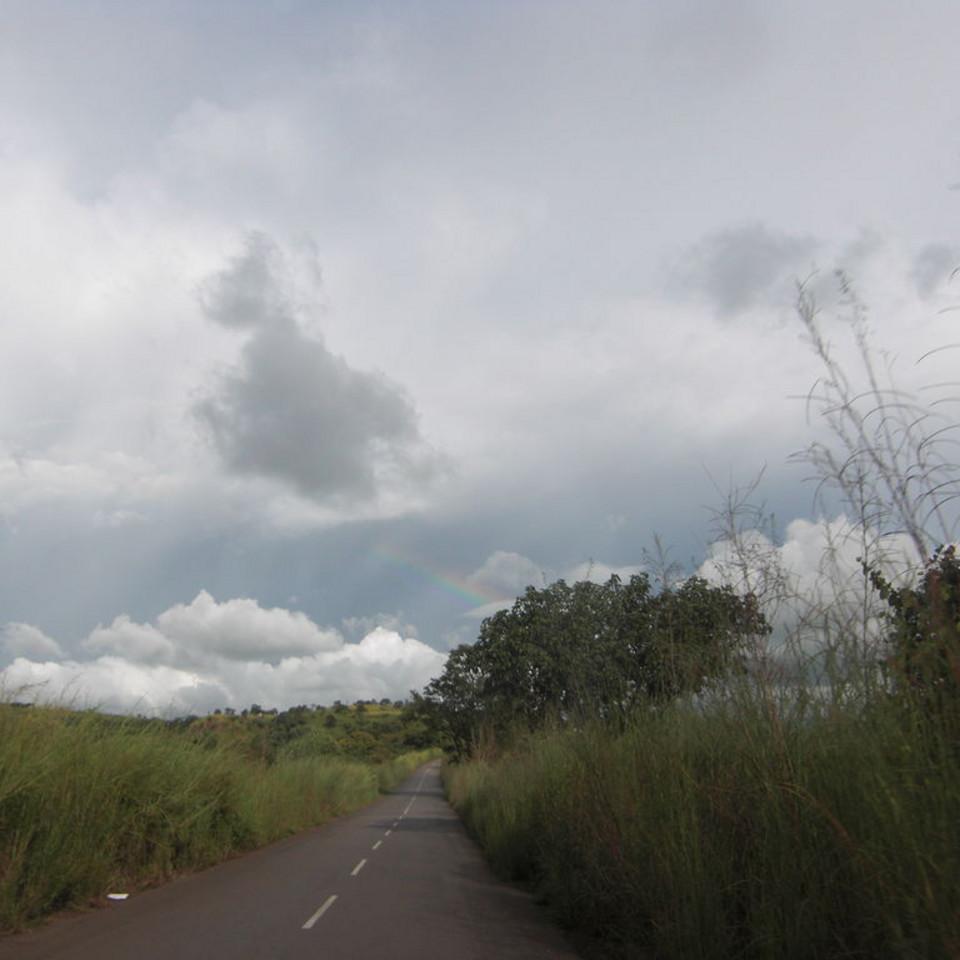 161.JPG