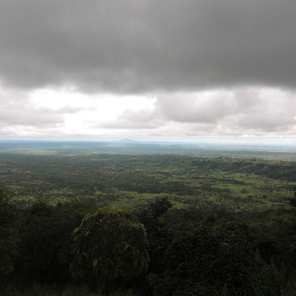 163.JPG