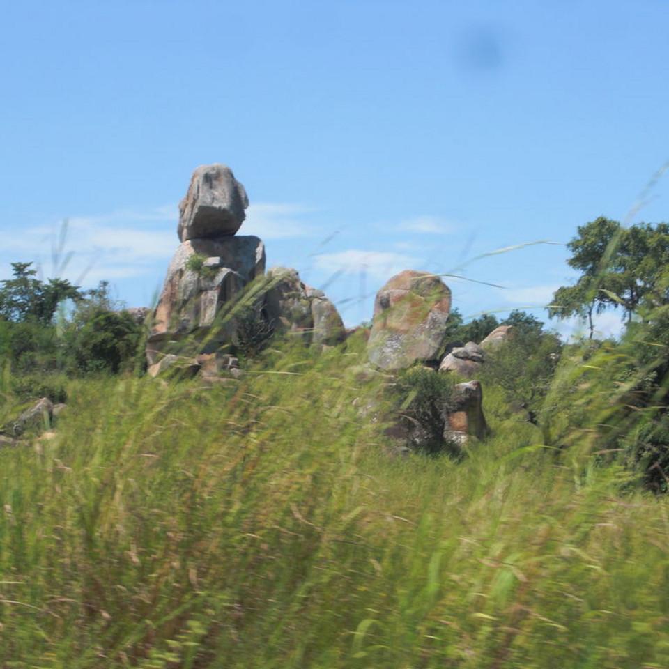 170.JPG