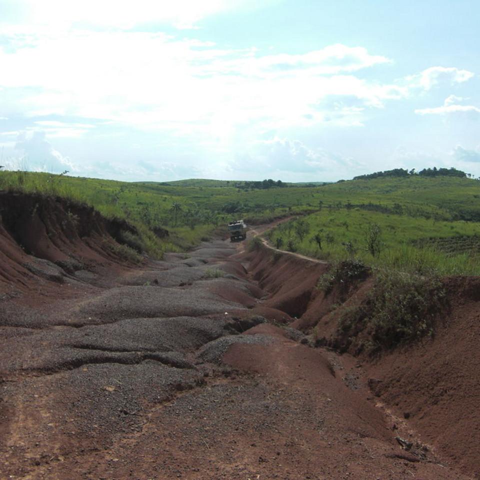 142.JPG