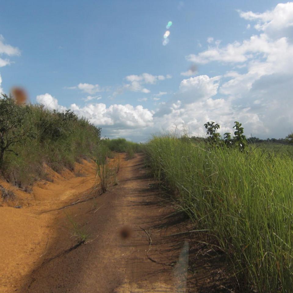 146.JPG