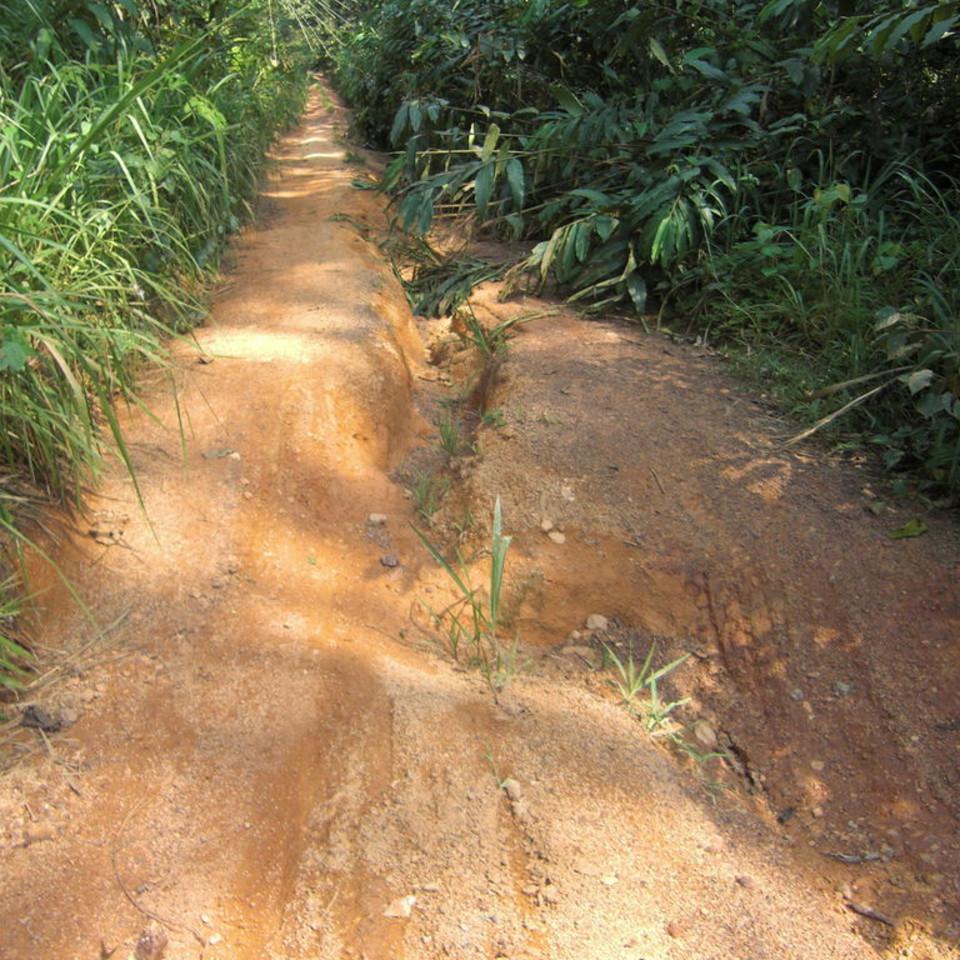 145.JPG