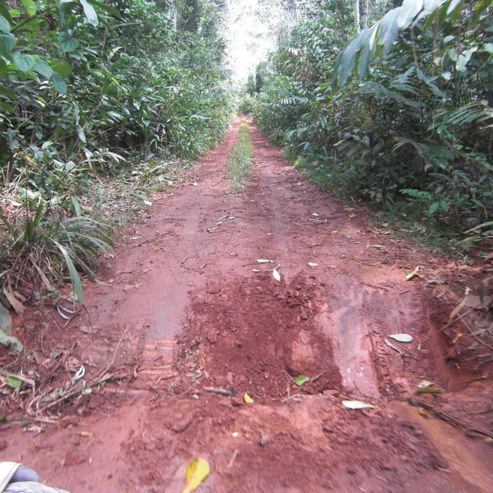 154.JPG