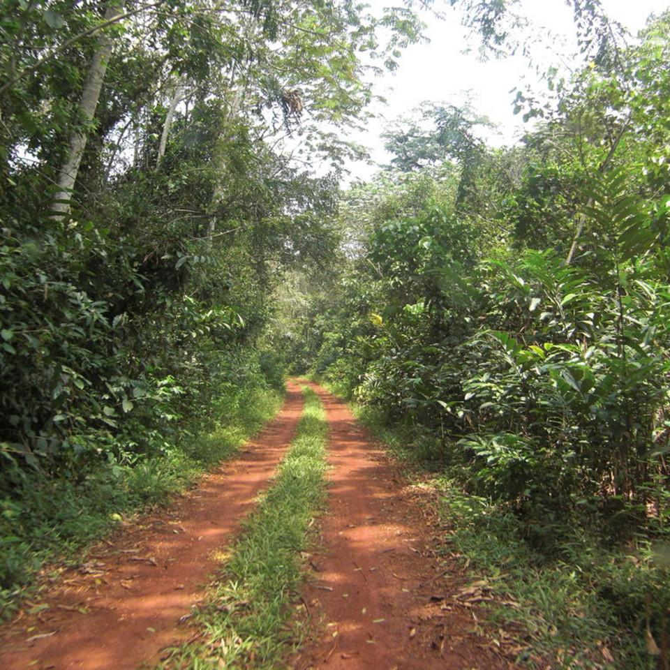 158.JPG