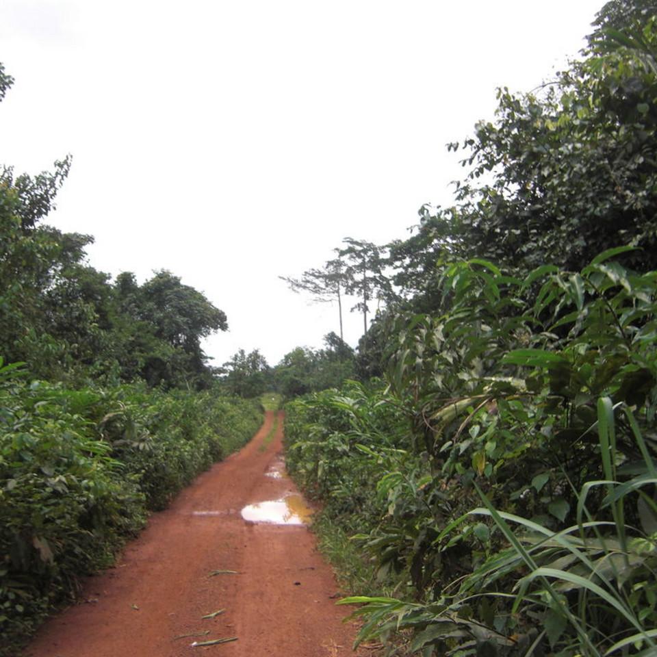 161.JPG