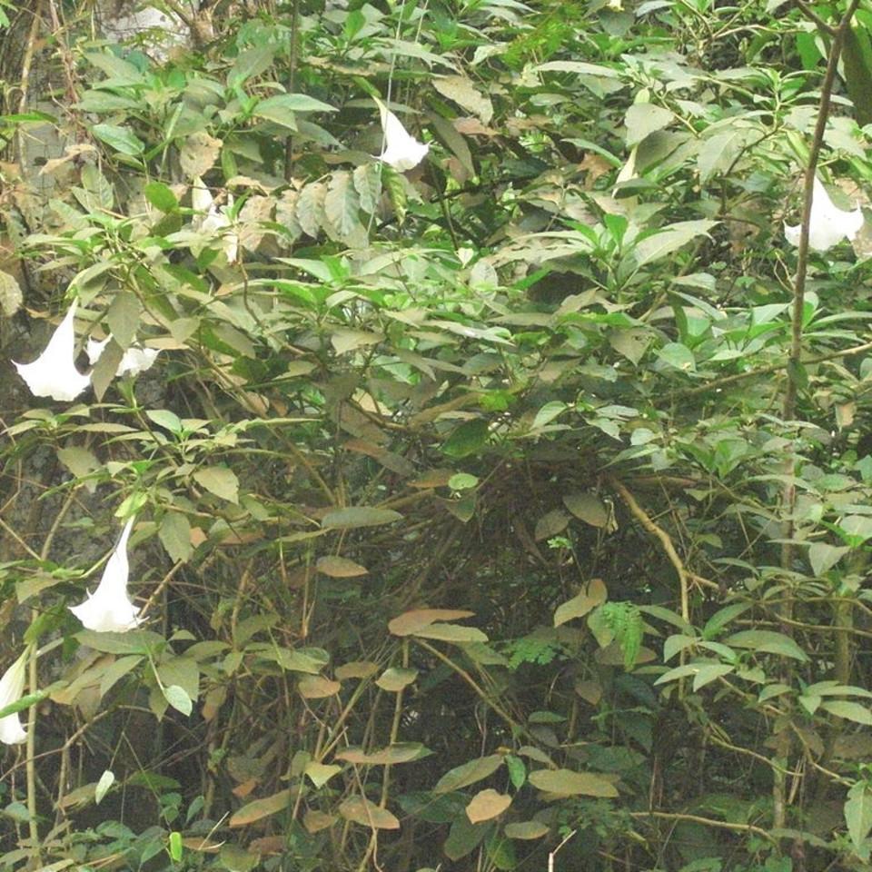 169.JPG