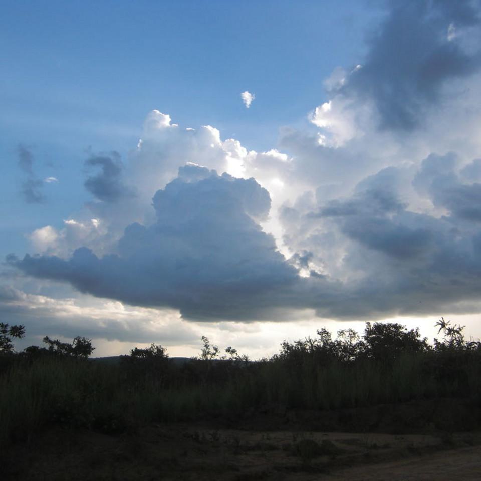 103.JPG