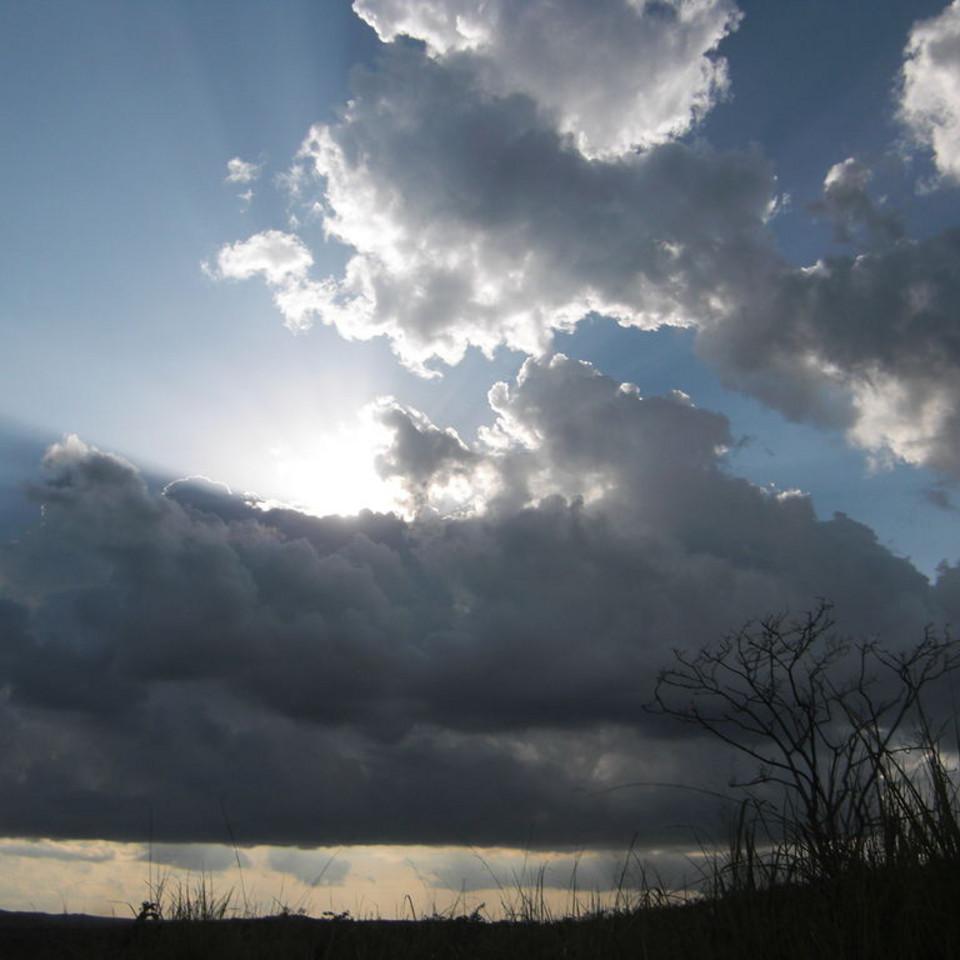 105.JPG