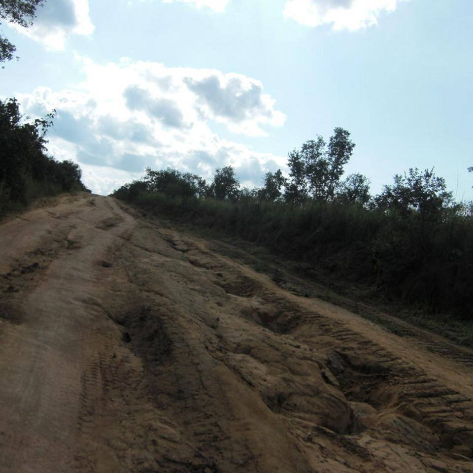 110.JPG
