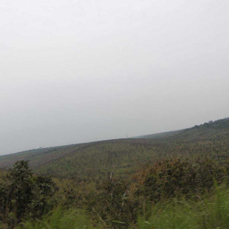 133.JPG