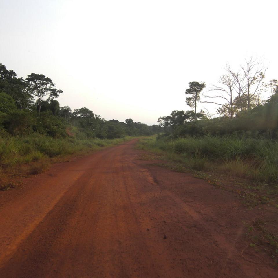 137.JPG