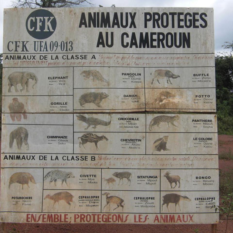 109.JPG