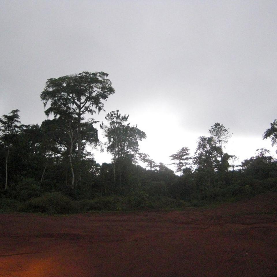 110.JPG