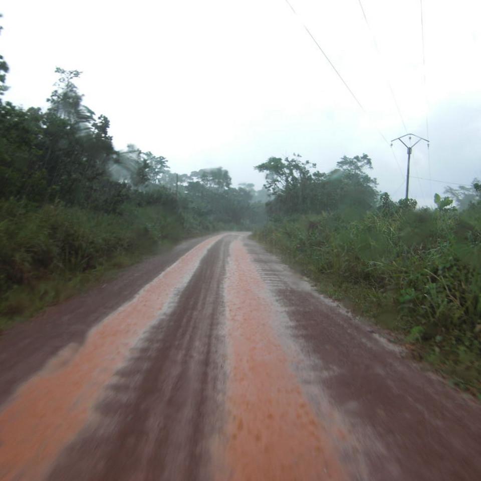 111.JPG