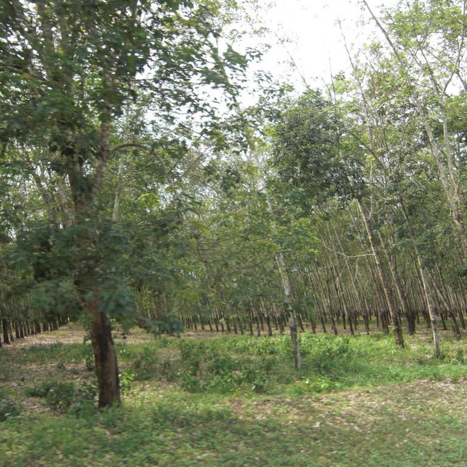 169.JPG