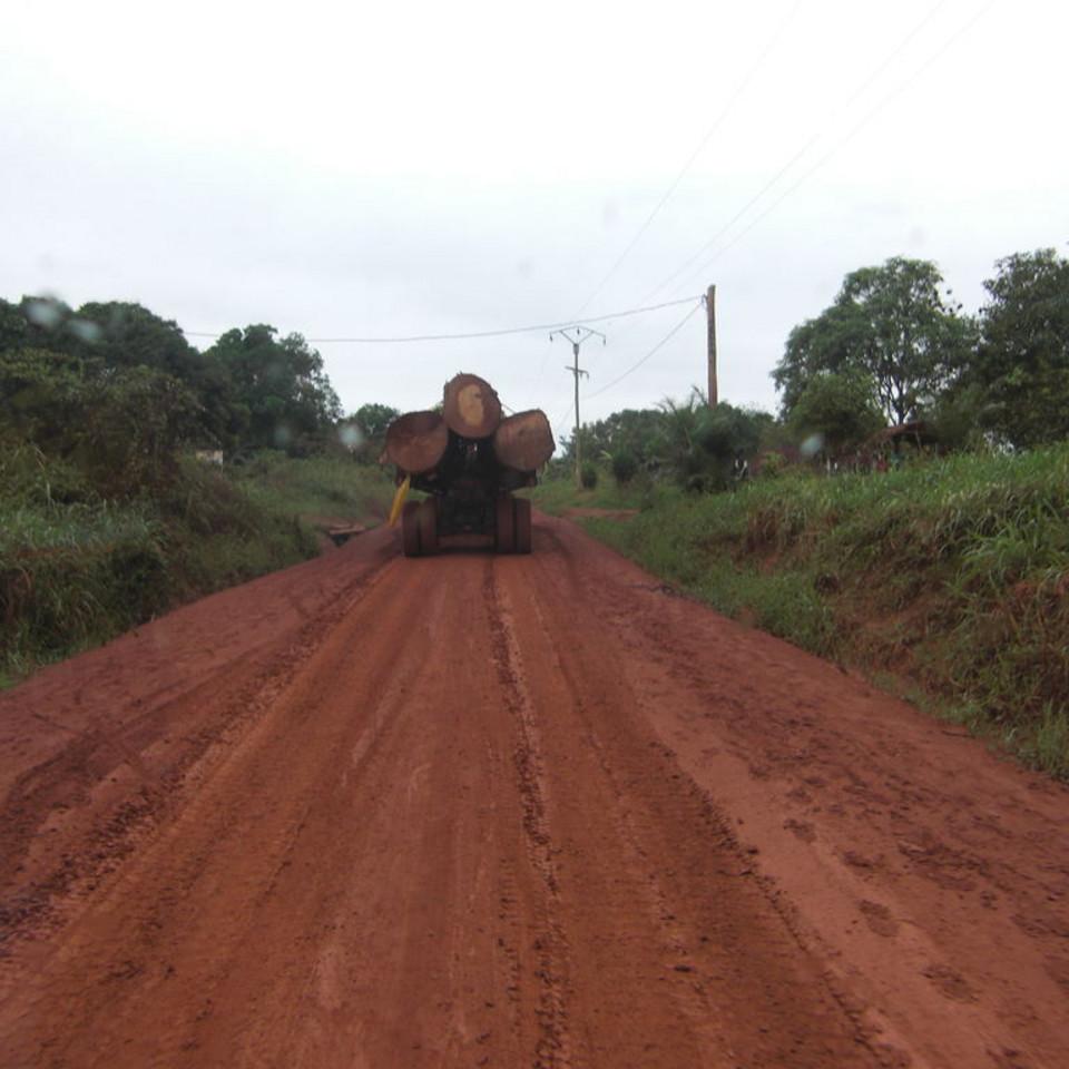 186.JPG