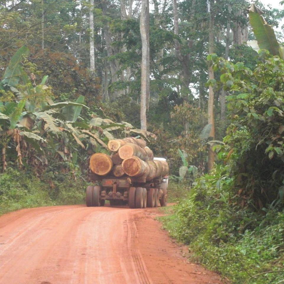 187.JPG