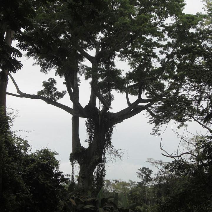 188.JPG
