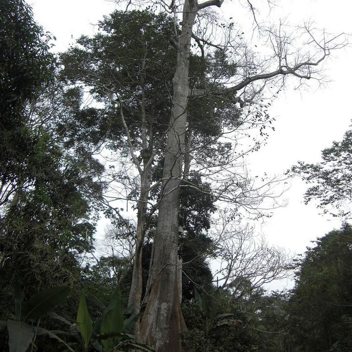 189.JPG