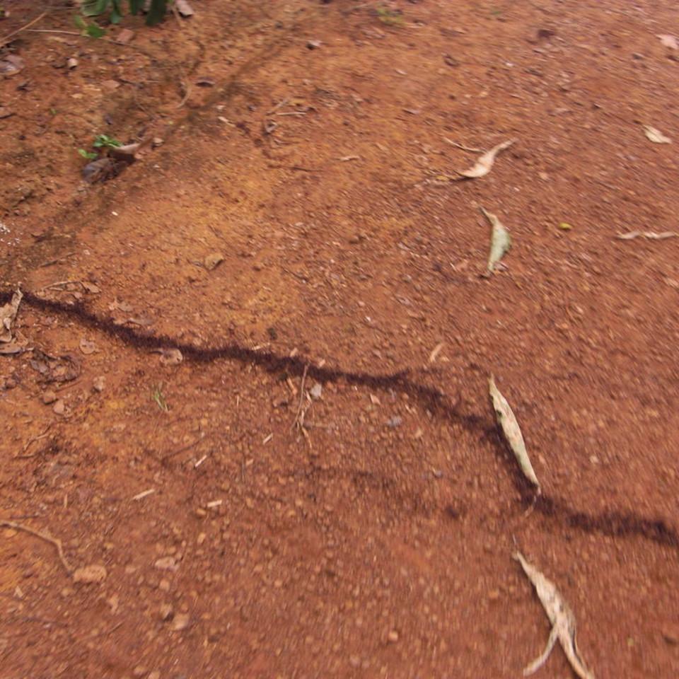 194.JPG
