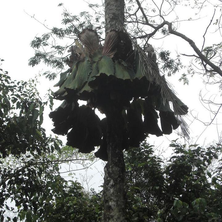 191.JPG