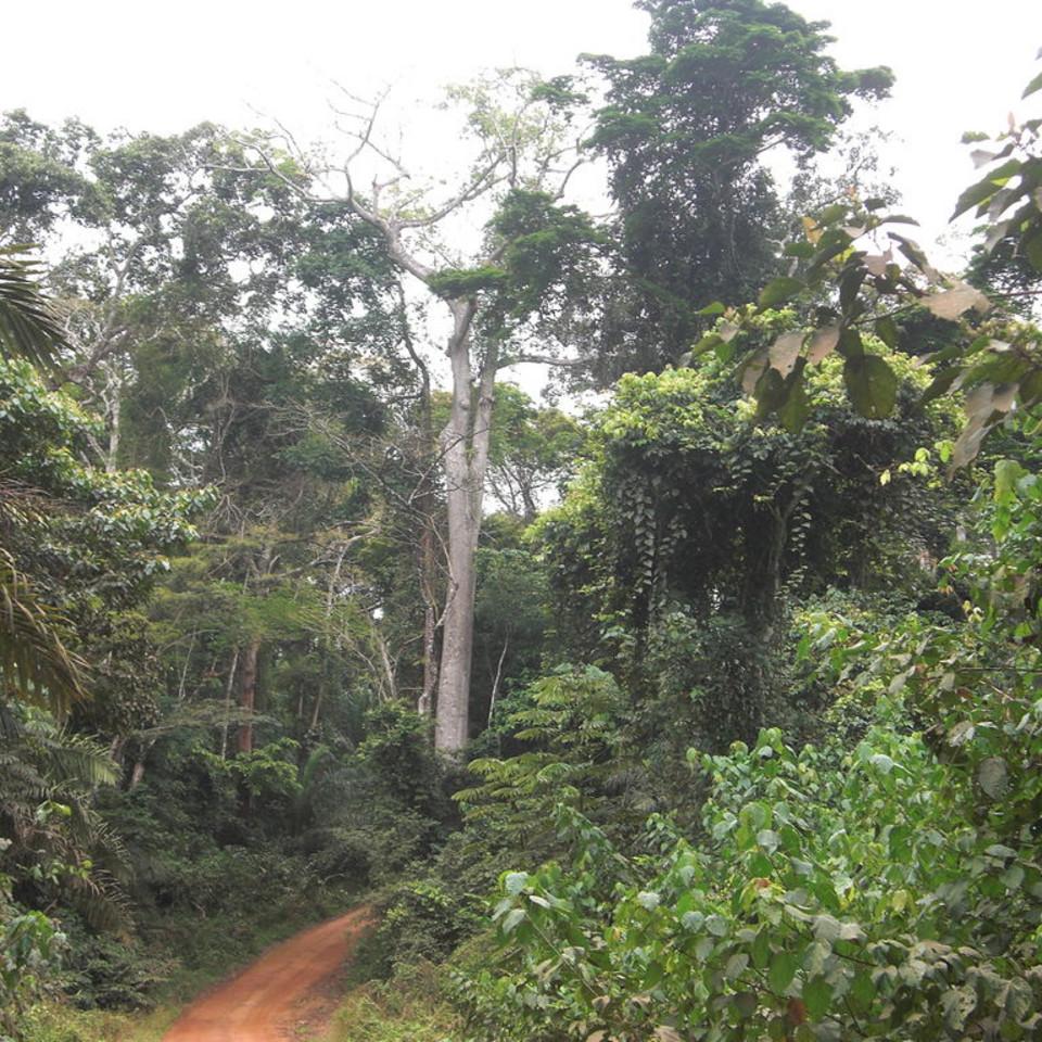 206.JPG