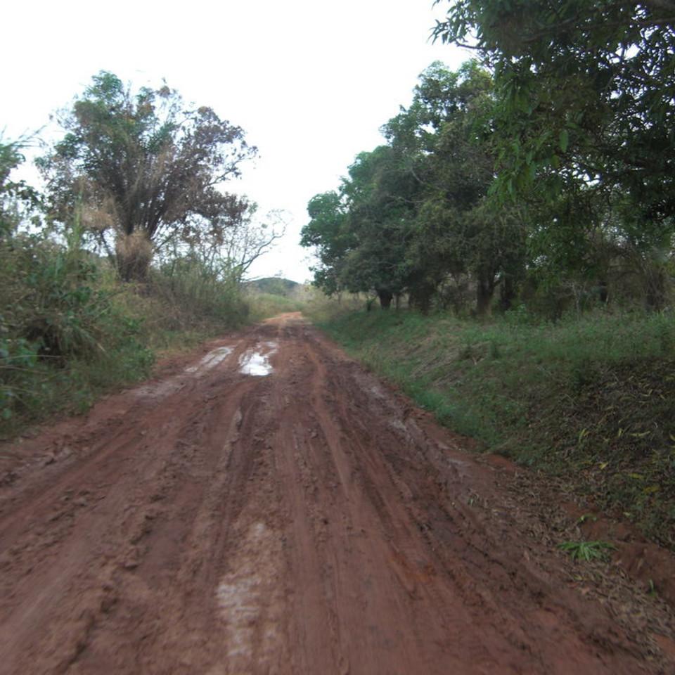 216.JPG