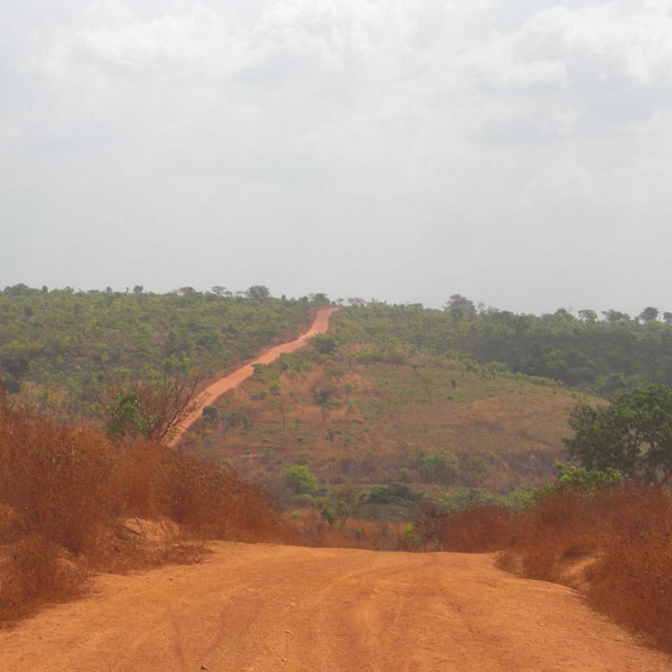 230.JPG