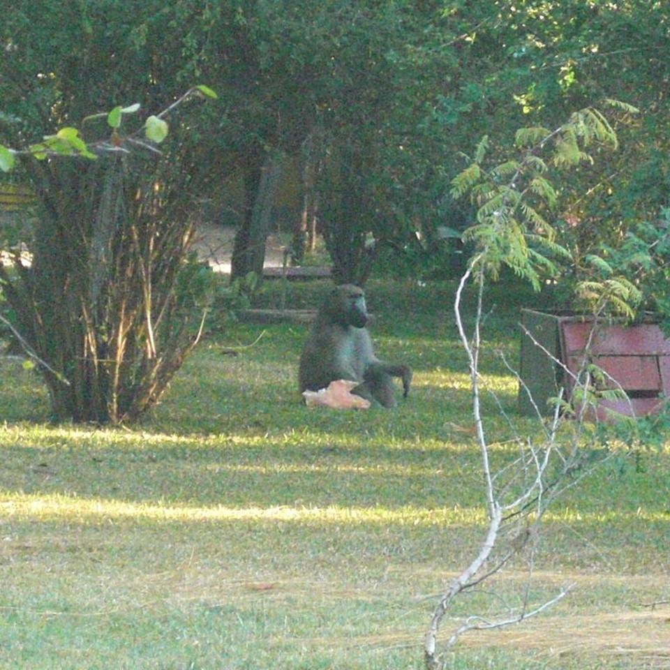 102.JPG