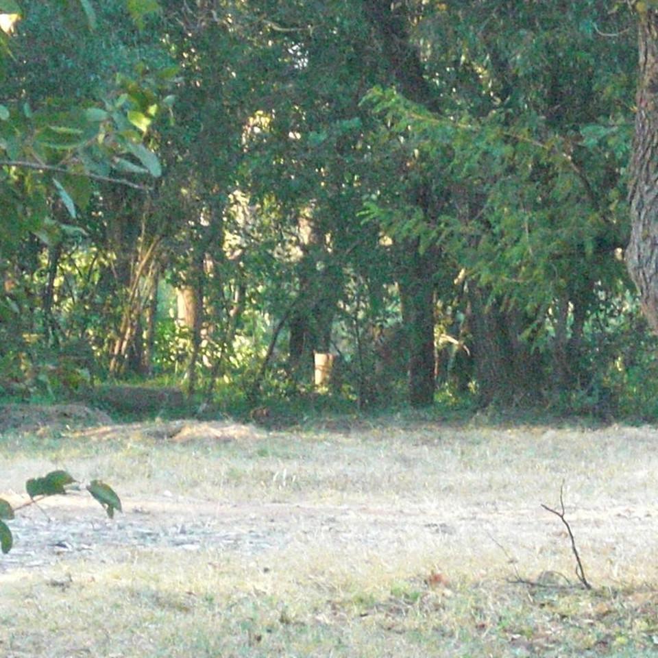 106.JPG