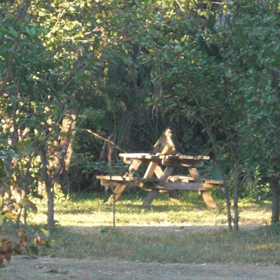 107.JPG
