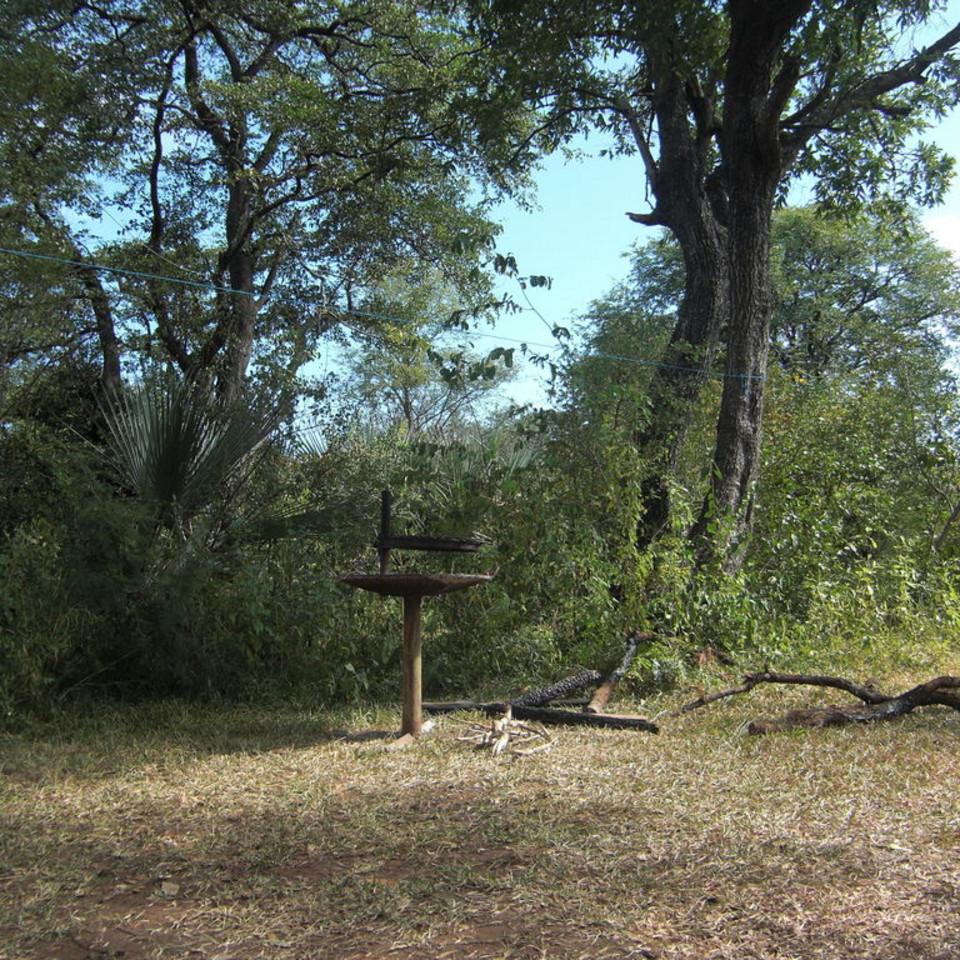 123.JPG