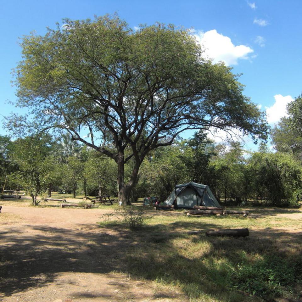 131.JPG