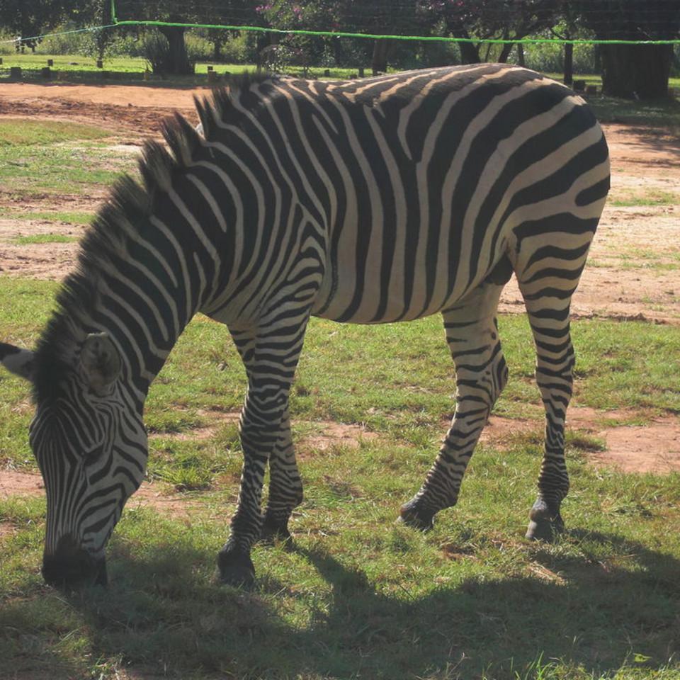 154.JPG