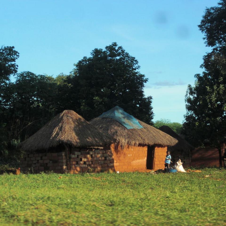 164.JPG