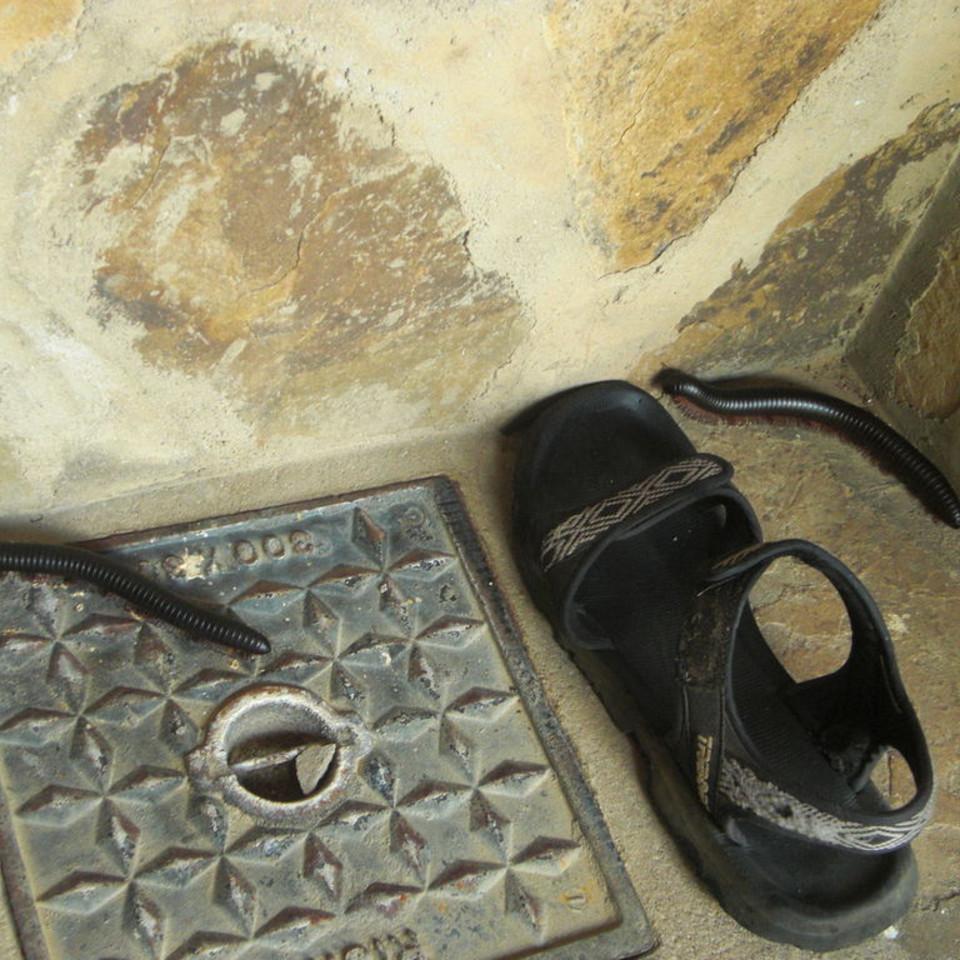 141.JPG